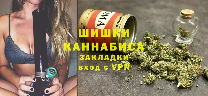 Каннабис OG Kush  Сорск 